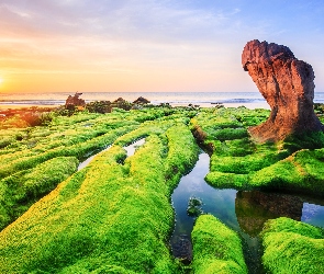 Skały, Brzeg, Morze, Wietnam, Plaża Nam O Beach, Wschód słońca, Prowincja Da Nang, Wodorosty
