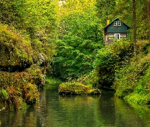 Drzewa, Roślinność, Czechy, Dom, Rzeka Kamienica, Park Narodowy Czeska Szwajcaria, Skała