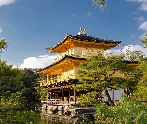 Kioto, Staw Kyko chi, Rokuon-ji, Japonia, Drzewa, Świątynia Kinkaku-ji, Złoty Pawilon