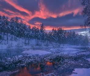 Drzewa, Wschód słońca, Zima, Jezioro, Gmina Ringerike, Las, Norwegia, Chmury