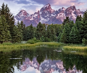 Rzeka Snake River, Trawy, Park Narodowy Grand Teton, Drzewa, Stan Wyoming, Góry Teton Range, Stany Zjednoczone, Odbicie