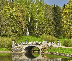 Most, Rzeka Sławianka, Park, Rosja, Pawłowsk, Drzewa, Petersburg, Kamienny