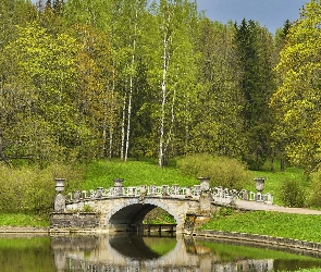 Rzeka Sławianka, Drzewa, Park, Most, Petersburg, Kamienny, Rosja, Pawłowsk