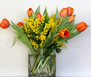 Kwiaty, Bukiet, Akacja srebrzysta, Tulipany