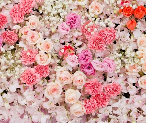 Róże, Goździki, Kwiaty