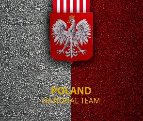 Reprezentacja Polski, Piłka nożna, Logo, Godło