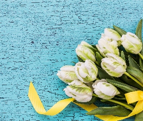 Tulipany papuzie, Wstążka, Żółta, Bukiet, Białe