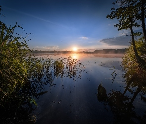 Jezioro Szaturskie, Lato, Rosja, Wschód słońca, Szatura, Obwód moskiewski, Drzewa