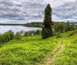 Jezioro, Ścieżka, Drzewa