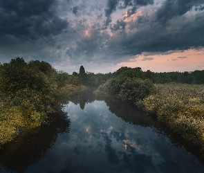 Rzeka Puya, Łąki, Rosja, Chmury, Obwód archangielski, Drzewa