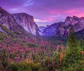Góry, Park Narodowy Yosemite, Dolina Yosemite Valley, Stany Zjednoczone, Lasy, Drzewa, Stan Kalifornia, Jesień