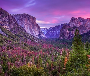 Park Narodowy Yosemite, Drzewa, Dolina Yosemite Valley, Góry, Stan Kalifornia, Jesień, Stany Zjednoczone, Lasy
