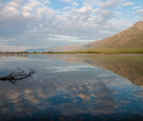 Góry, Odbicie, Drzewa, Konar, Jezioro