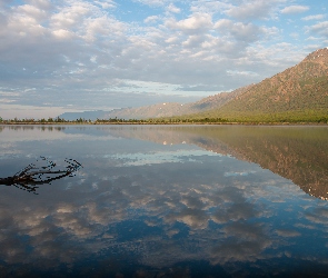 Jezioro, Odbicie, Konar, Drzewa, Góry