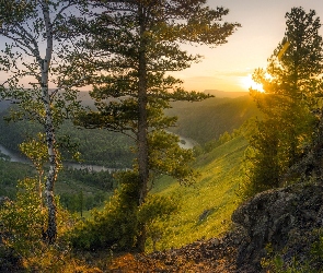 Las, Rzeka Mana, Góry, Skały, Kraj Krasnojarski, Drzewa, Rosja, Wschód słońca