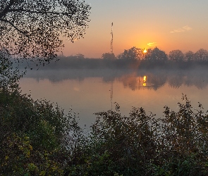 Jezioro, Mgła, Wschód słońca, Drzewo