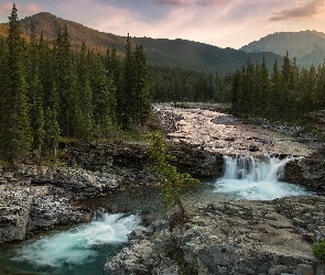 Skały, Góry Skaliste, Kanada, Rzeka Sheep, Wodospad Sheep River, Prowincja Alberta, Drzewa