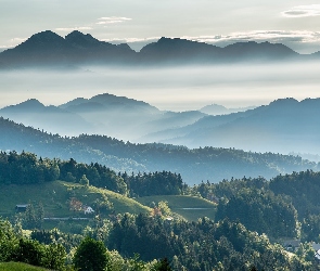 Alpy Julijskie, Góry, Słowenia, Lasy, Dolina, Domy, Mgła