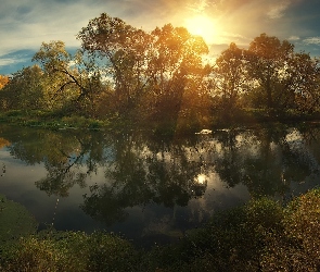 Drzewa, Rosja, Rzeka Istra, Obwód moskiewski, Wschód słońca