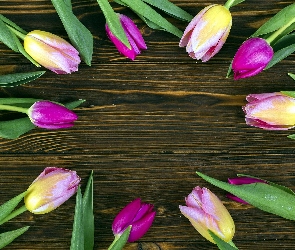Kolorowe, Deski, Brązowe, Tulipany, Okrąg
