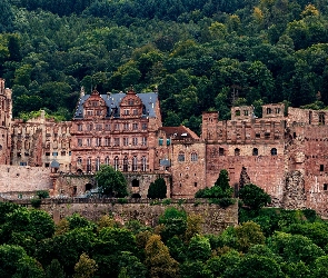Zamek w Heidelbergu, Niemcy, Drzewa, Heidelberg, Heidelberger Schloss