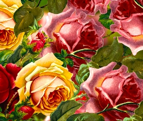 Kolorowe, Grafika, Róże