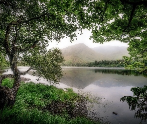 Irlandia, Region Connemara, Jezioro Pollacapall, Drzewa, Góry, Galway