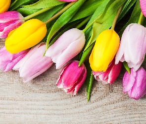Tulipany, Deski, Wstążka, Różowa, Kolorowe