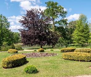 Brandenburgia, Wiesenburg, Klomby, Niemcy, Park, Drzewa, Staw