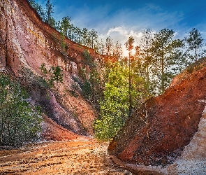 Georgia, Lumpkin, Kanion, Stany Zjednoczone, Drzewa, Park stanowy Providence Canyon, Skały