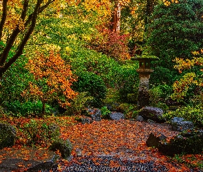 Jesień, Drzewa, Ogród japoński, Stany Zjednoczone, Portland, Portland Japanese Garden, Oregon, Krzewy