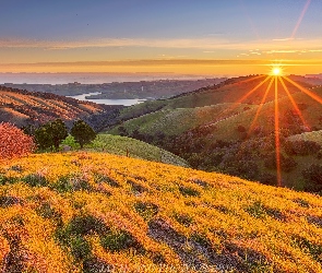 Drzewa, Wzgórza, Jezioro, Góry, Stany Zjednoczone, Dolina Livermore Valley, Promienie słońca, Kalifornia, Krzewy