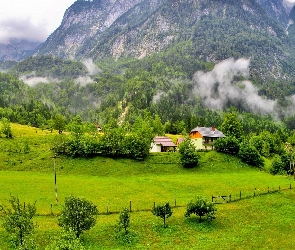 Góry, Gmina Bovec, Mgła, Słowenia, Roślinność, Domy, Alpy Julijskie, Lasy, Drzewa