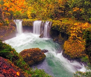 Rzeka White Salmon River, Oregon, Skały, Stany Zjednoczone, Jesień, Krzewy, Wodospad Spirit Falls, Rezerwat przyrody Columbia River Gorge, Drzewa