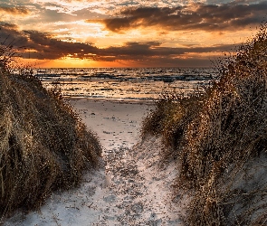 Zachód słońca, Morze, Trawa, Porośnięte, Wydmy, Plaża