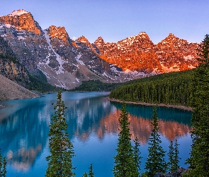 Drzewa, Jezioro Moraine, Prowincja Alberta, Kanada, Park Narodowy Banff, Góry