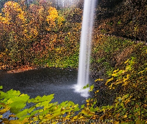 Las, Punkt widokowy, Wodospad South Falls, Jesień, Oregon, Drzewa, Stany Zjednoczone, Park miejski Silver Falls