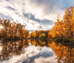 Staw Sheremetyevsky, Obwód moskiewski, Samolot, Rosja, Dołgoprudnyj, Promienie słońca, Drzewa, Jesień, Chmury