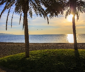 Palmy, Costa del Sol, Region, Hiszpania, Turystyczny, Malaga, Wschód słońca, Plaża, Morze Śródziemne