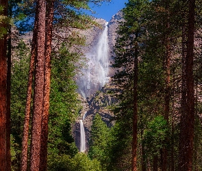 Park Narodowy Yosemite, Stany Zjednoczone, Drzewa, Kalifornia, Wodospad Upper Yosemite