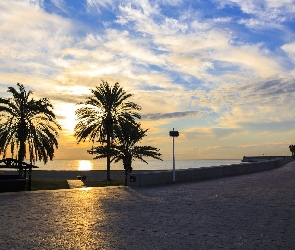Hiszpania, Malaga, Promenada, Palmy, Wschód słońca, Morze Śródziemne