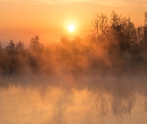 Mgła, Wschód słońca, Rzeka, Odbicie, Drzewa