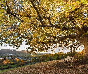 Wzgórza, Widok, Ławka, Drzewo, Promienie słońca, Dolina