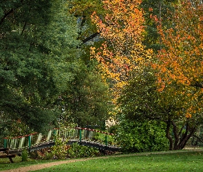 Drzewa, Mostek, Park, Jesień, Stan Wiktoria, Liście, Australia, Marysville
