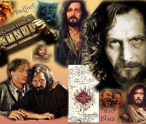 długie włosy, broda, Gary Oldman