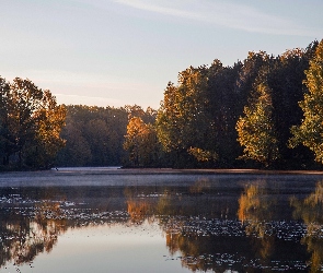 Jezioro, Drzewa, Jesień, Las