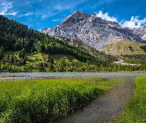 Kanton Valais, Jezioro Lac de Derborence, Alpy, Szwajcaria, Trawa, Góry, Las