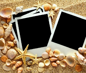 Muszelki, Zdjęcia, Ramki, Rozgwiazdy, Piasek