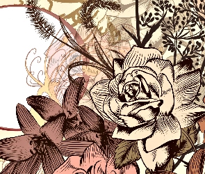Grafika 2D, Lilie, Kwiaty, Róże
