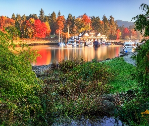 Kanada, Jesień, Royal Vancouver Yacht Club, Żaglówki, Drzewa, Stanley Park, Vancouver, Kolumbia Brytyjska, Zatoka